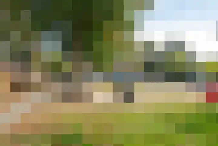 Malvert 1233 Nijmegen thumbnail 29