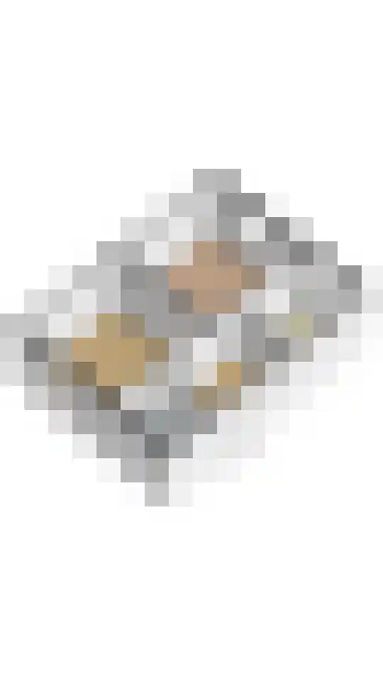 Malvert 1233 Nijmegen thumbnail 35