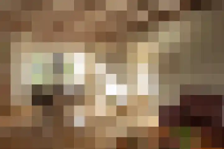 Malvert 1233 Nijmegen thumbnail 7
