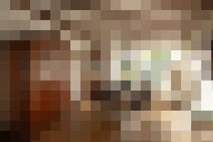 Malvert 1233 Nijmegen thumbnail 8