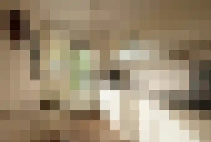 Malvert 1233 Nijmegen thumbnail 9