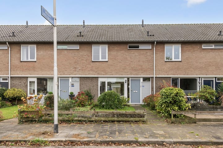 Malvert 2009 in Nijmegen foto