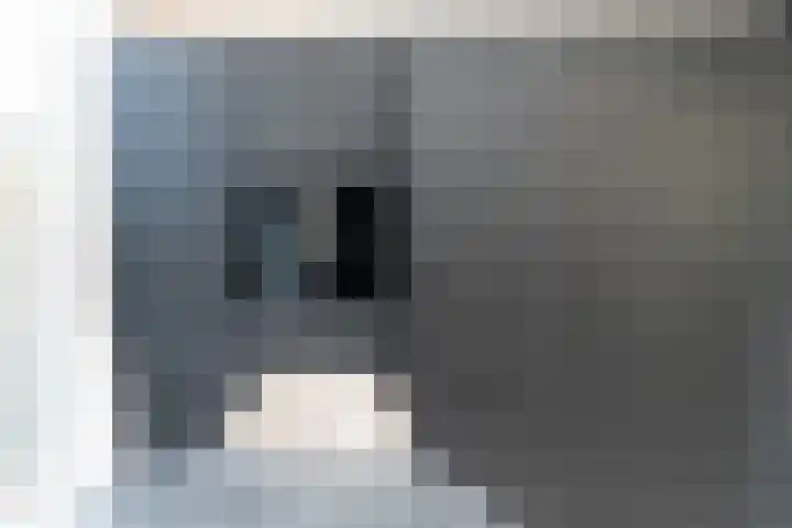 Malvert 2321 Nijmegen thumbnail 11