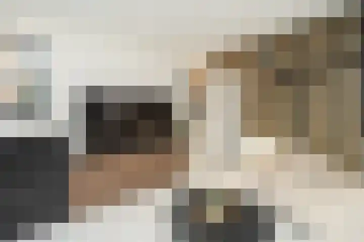 Malvert 2321 Nijmegen thumbnail 13