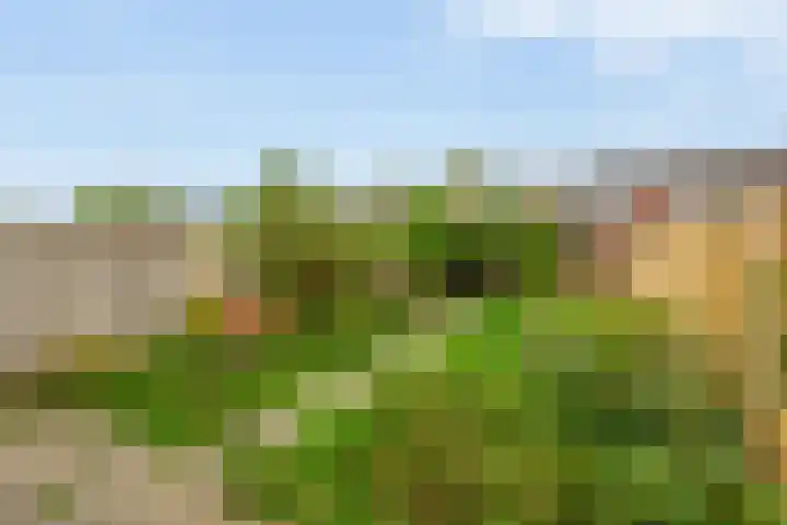 Malvert 3033 Nijmegen thumbnail 22