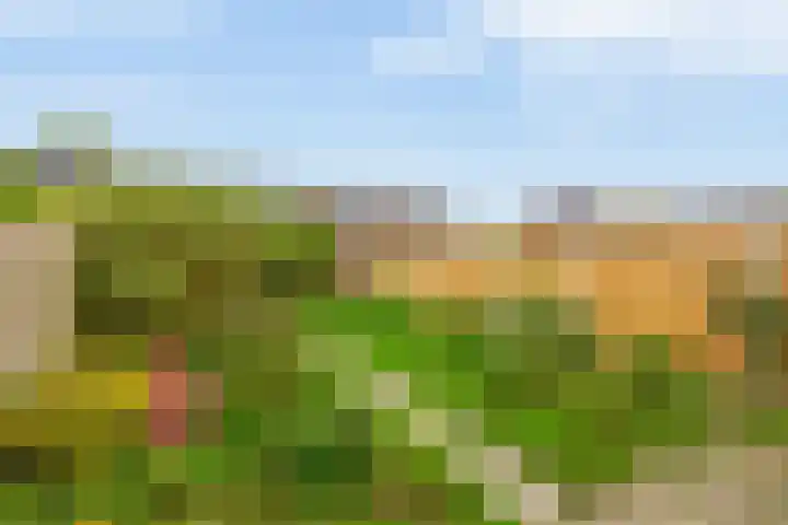 Malvert 3033 Nijmegen thumbnail 23