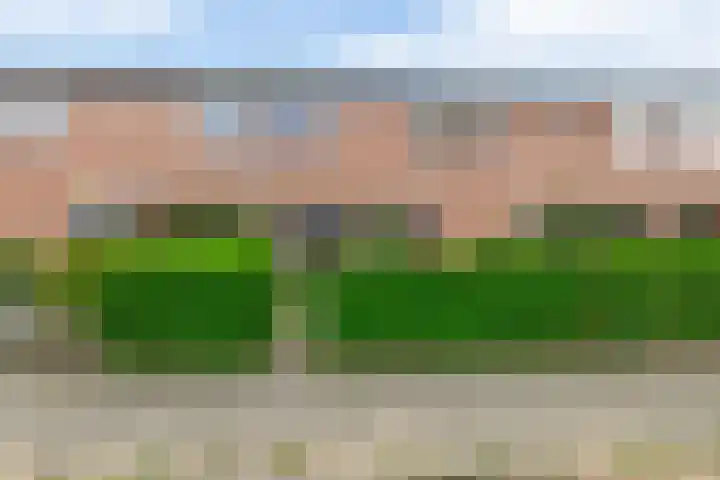 Malvert 3033 Nijmegen thumbnail 27