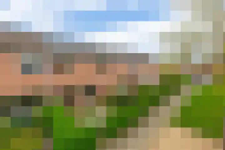 Malvert 3033 Nijmegen thumbnail 32