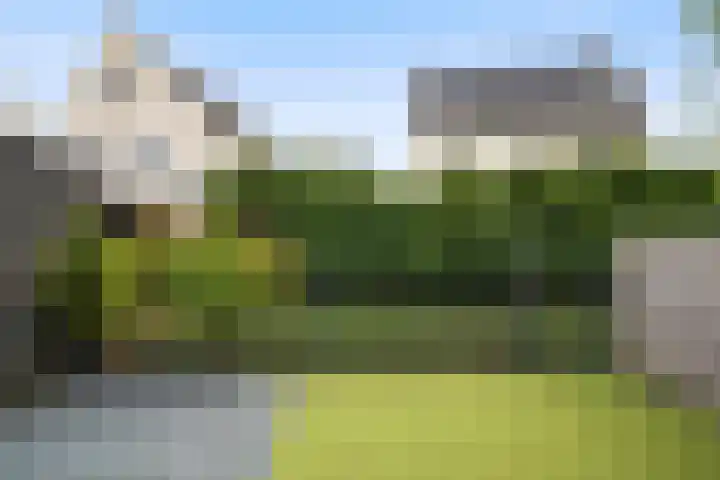 Malvert 3033 Nijmegen thumbnail 5