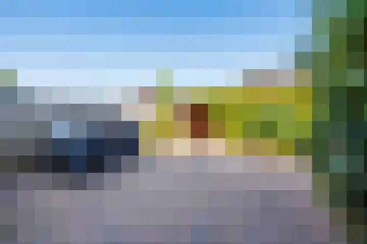 Malvert 5322 Nijmegen thumbnail 23