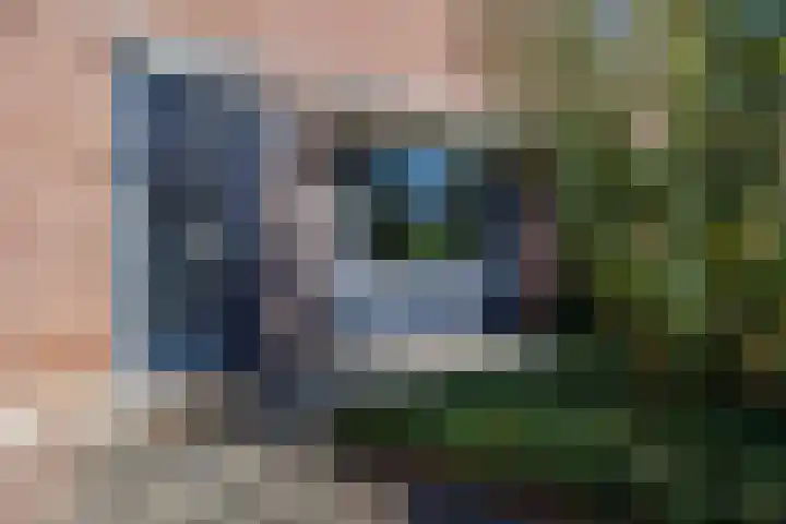 Malvert 5322 Nijmegen thumbnail 6