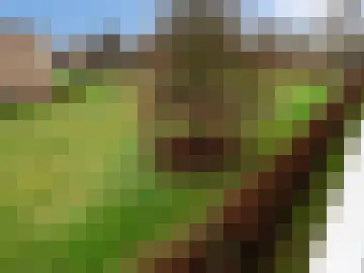 Malvert 6555 Nijmegen thumbnail 18