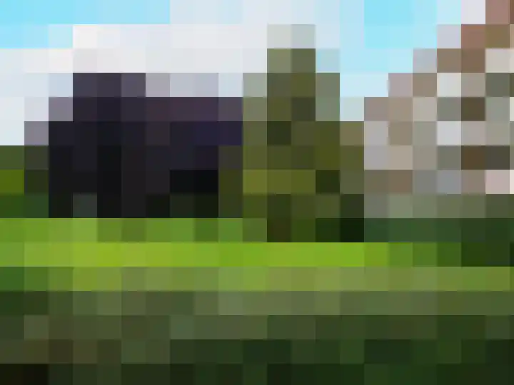 Malvert 6555 Nijmegen thumbnail 23