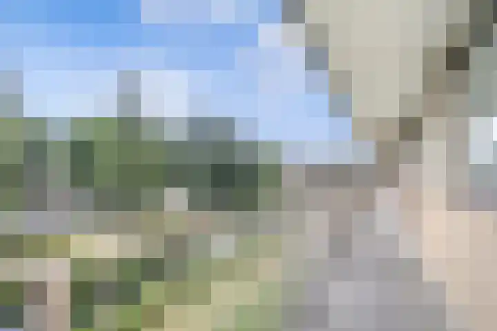 Malvert 6863 Nijmegen thumbnail 12