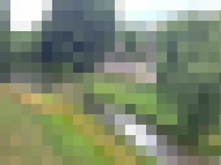 Malvert 6863 Nijmegen thumbnail 13
