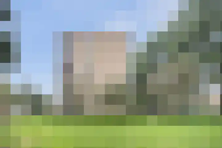 Malvert 6863 Nijmegen thumbnail 31