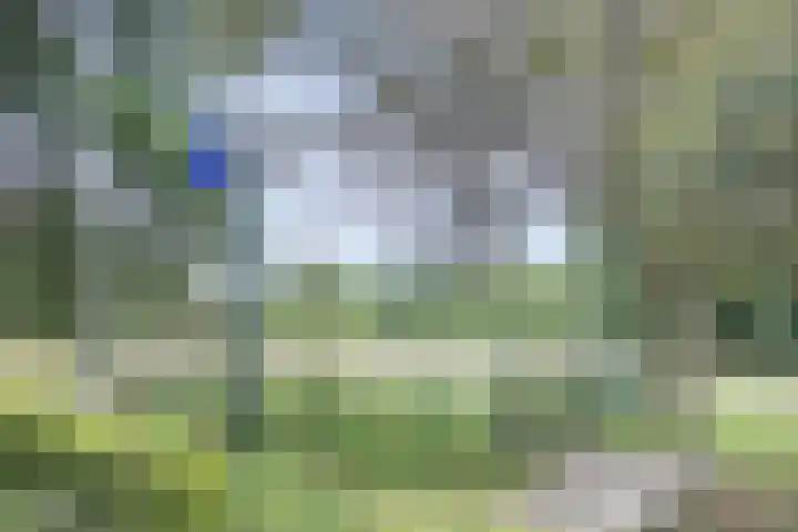 Malvert 6863 Nijmegen thumbnail 33