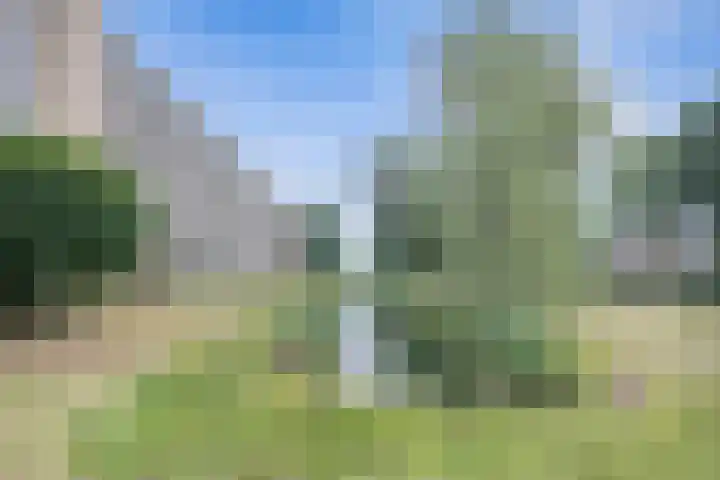 Malvert 6863 Nijmegen thumbnail 4