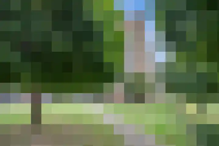 Malvert 6863 Nijmegen thumbnail 5