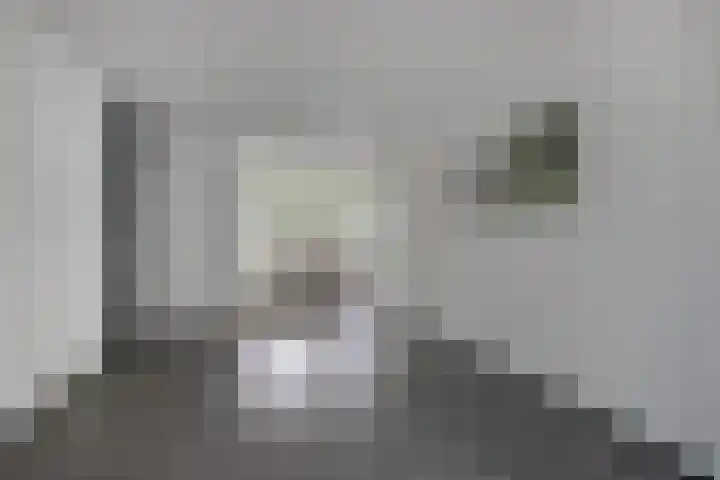 Malvert 6863 Nijmegen thumbnail 8