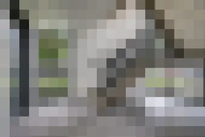 Malvert 6863 Nijmegen thumbnail 9