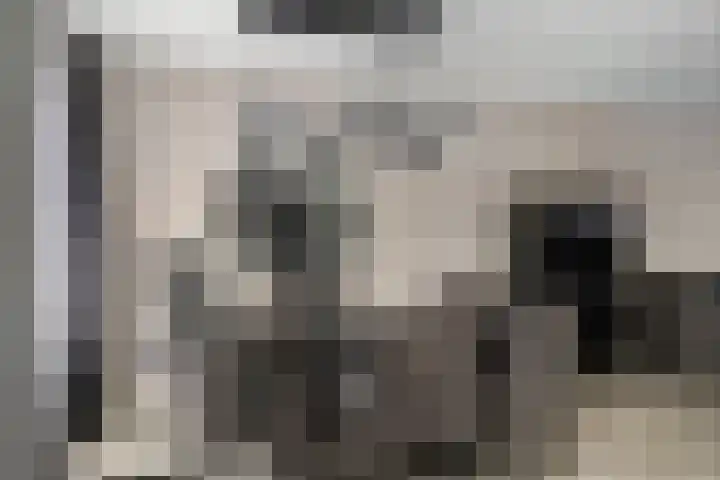 Malvert 7310 Nijmegen thumbnail 10