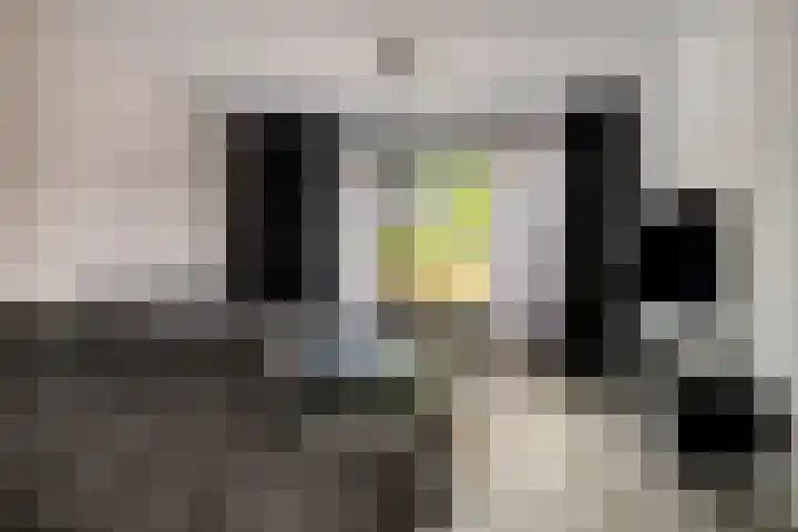 Malvert 7310 Nijmegen thumbnail 11