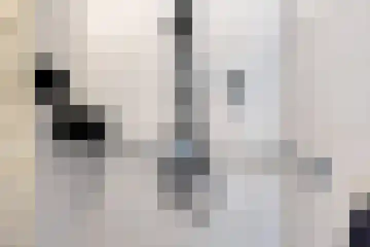 Malvert 7310 Nijmegen thumbnail 18