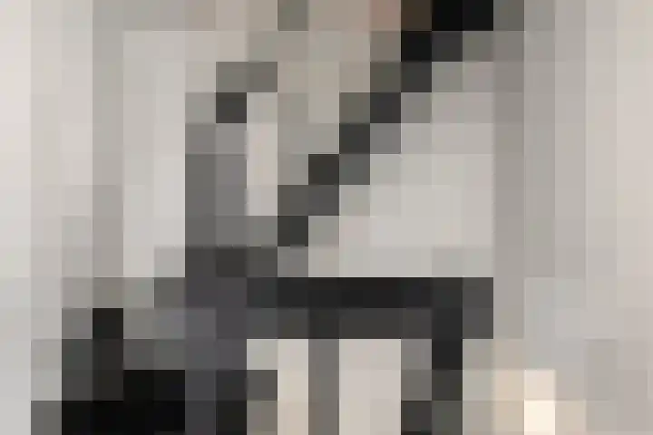 Malvert 7310 Nijmegen thumbnail 28