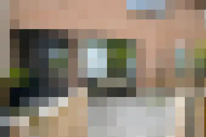 Malvert 7310 Nijmegen thumbnail 33