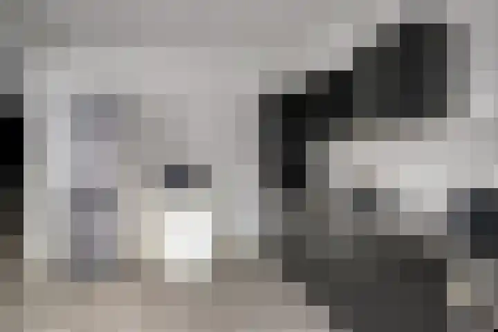 Malvert 7310 Nijmegen thumbnail 9