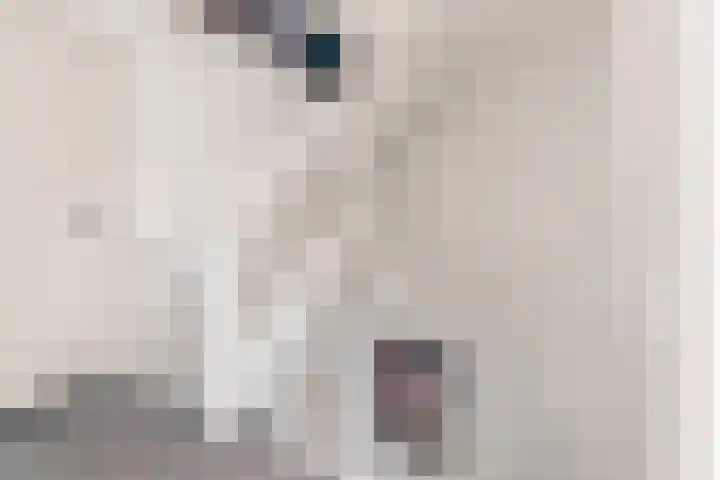 Malvert 7312 Nijmegen thumbnail 28