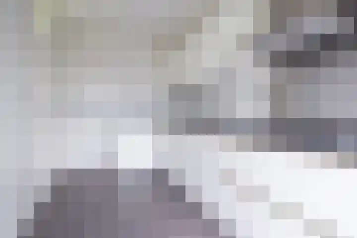 Malvert 7392 Nijmegen thumbnail 10