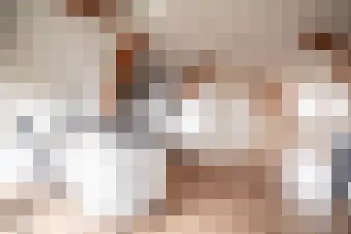 Malvert 7392 Nijmegen thumbnail 16