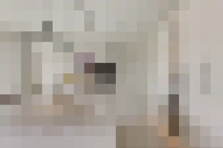 Malvert 7392 Nijmegen thumbnail 17