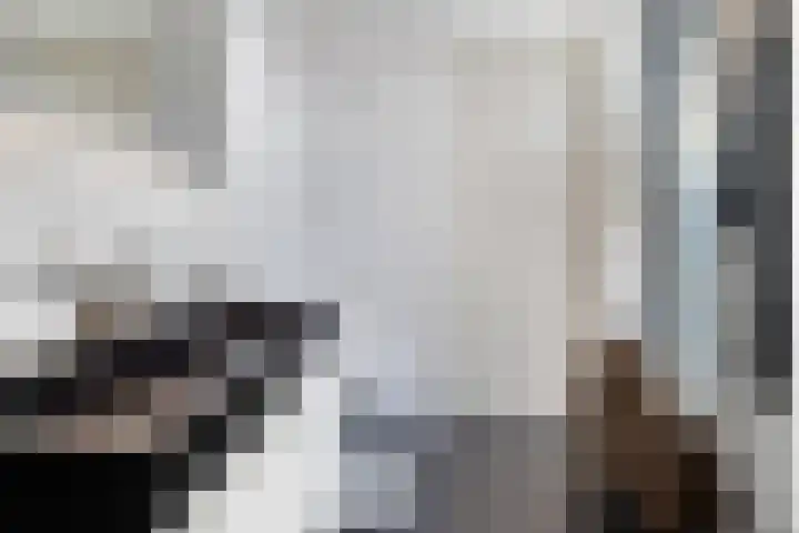 Malvert 7392 Nijmegen thumbnail 18