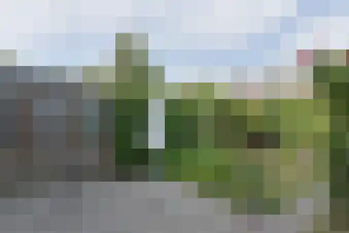 Malvert 7392 Nijmegen thumbnail 25