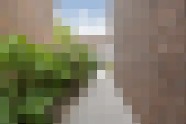 Malvert 7392 Nijmegen thumbnail 30