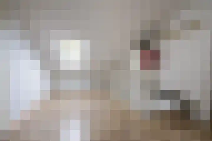 Malvert 7392 Nijmegen thumbnail 30
