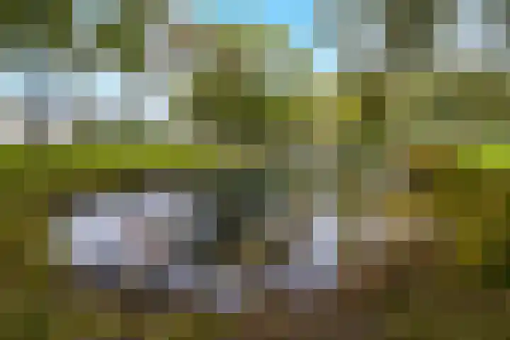 Malvert 7392 Nijmegen thumbnail 36