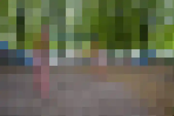 Malvert 7392 Nijmegen thumbnail 38
