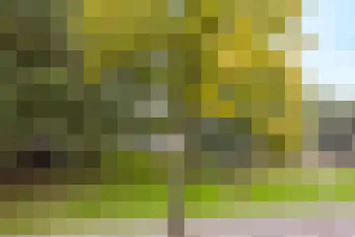 Malvert 7392 Nijmegen thumbnail 39