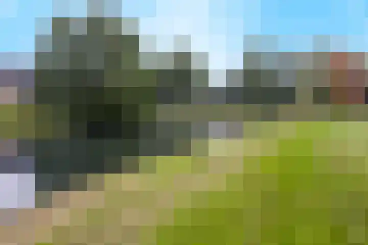 Malvert 7392 Nijmegen thumbnail 40