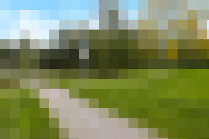 Malvert 7392 Nijmegen thumbnail 41