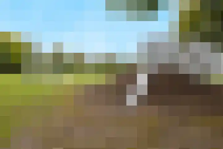 Malvert 7392 Nijmegen thumbnail 42