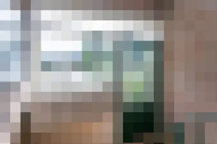 Malvert 7392 Nijmegen thumbnail 43