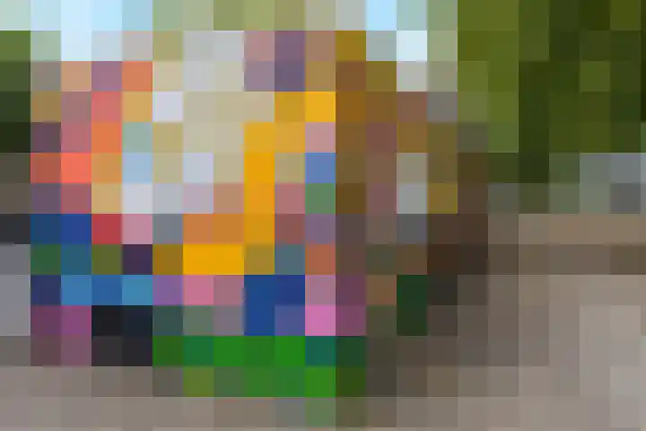 Malvert 7392 Nijmegen thumbnail 43