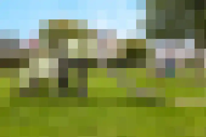 Malvert 7392 Nijmegen thumbnail 44