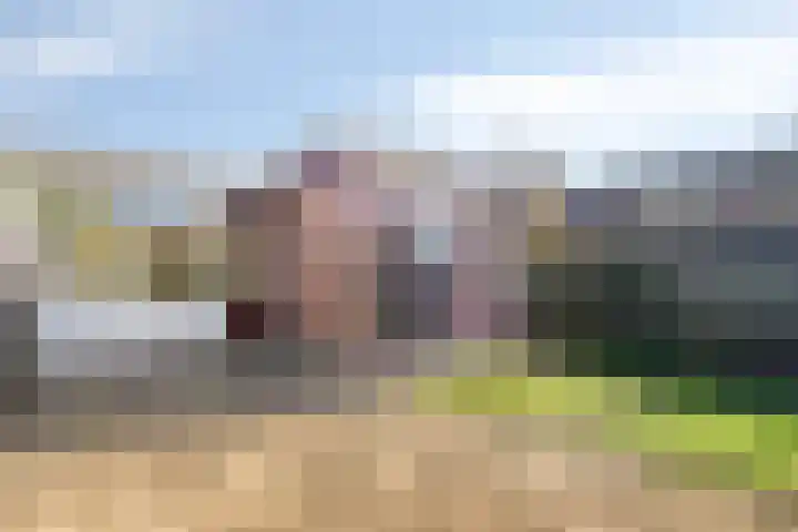 Malvert 7516 Nijmegen thumbnail 20