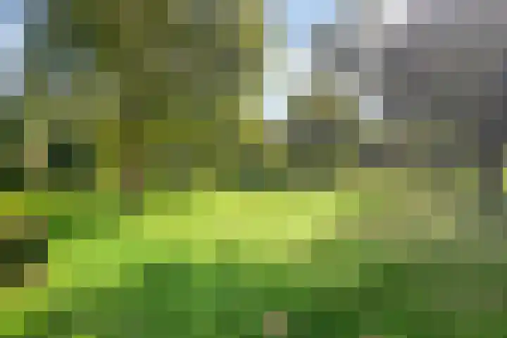 Malvert 7516 Nijmegen thumbnail 26